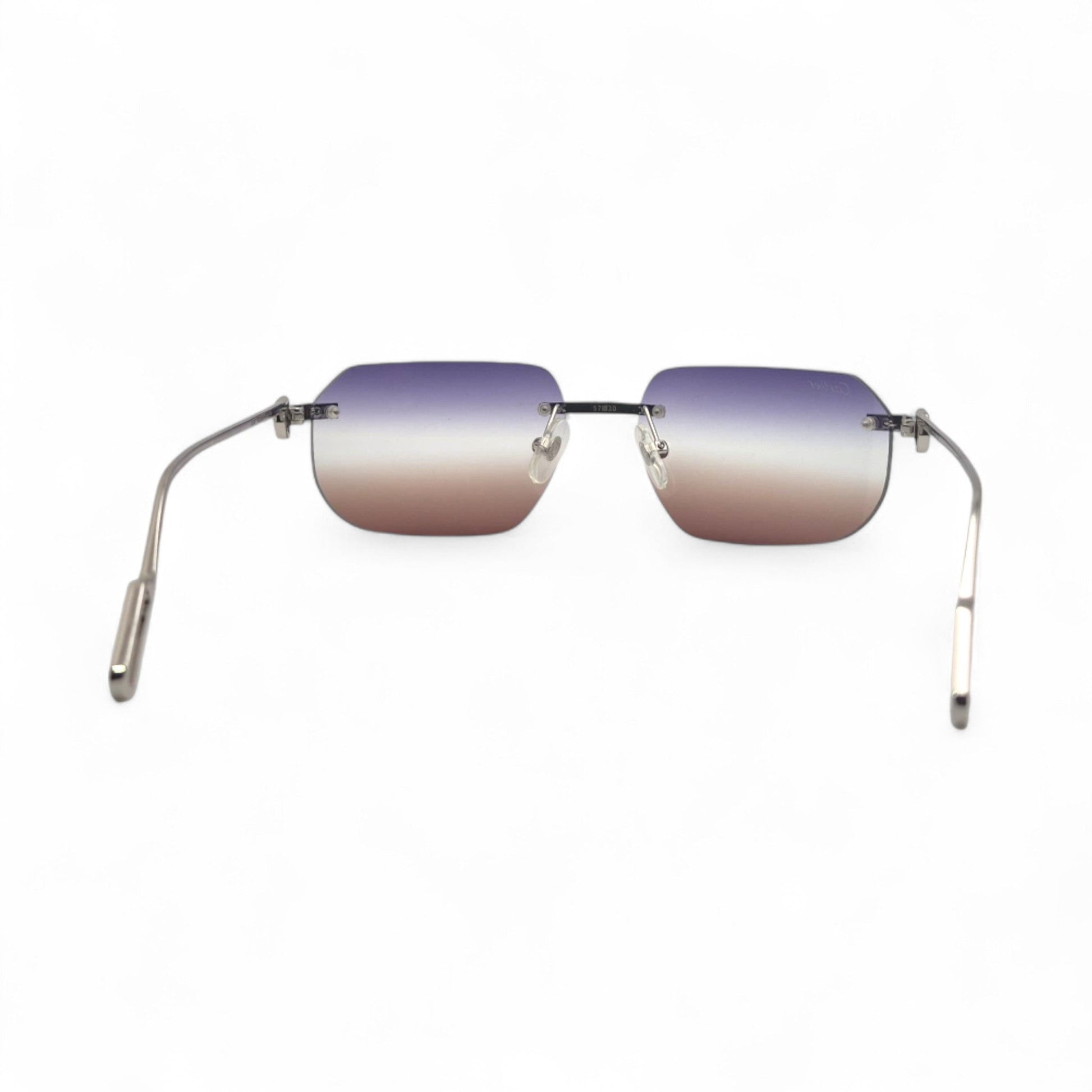 CT0113O Premiere - C Decor Wires Sunglasses/Eyeglasses - Luxury Optical