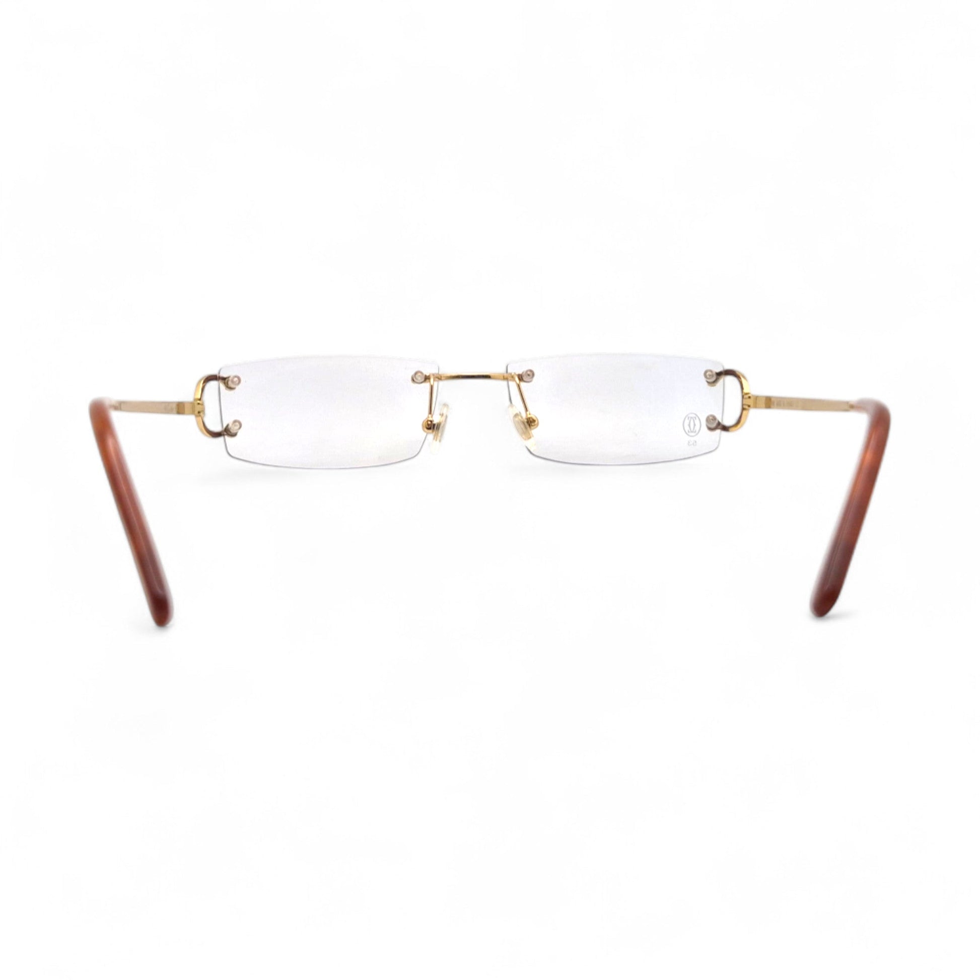 CT0092O Piccadilly Big C Decor - Wires Eyeglasses/Sunglasses w/ Rectangle Lenses (2024) - Luxury Optical