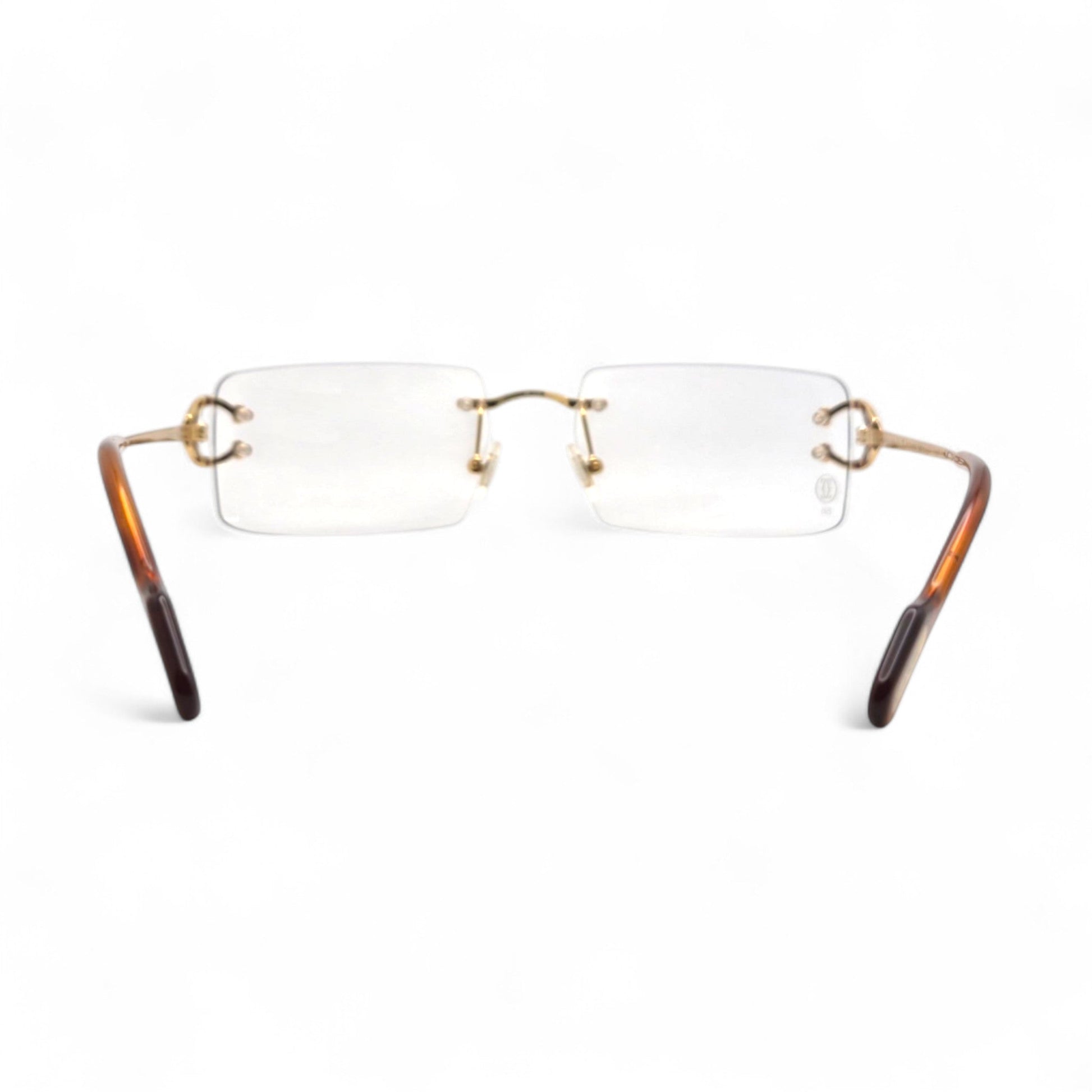 CT0344O Piccadilly Big C Decor - Wires Eyeglasses w/ Rectangle Lenses (2025) - Luxury Optical