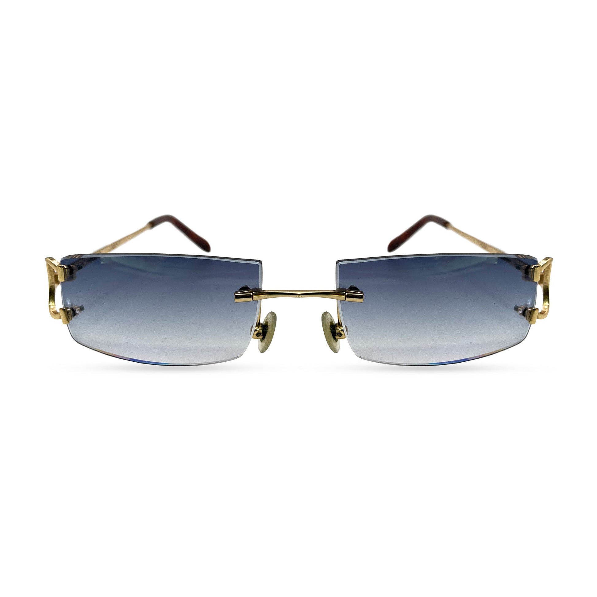 CT0092O Piccadilly Big C Decor - Wires Eyeglasses/Sunglasses w/ Rectangle Lenses (2024) - Luxury Optical