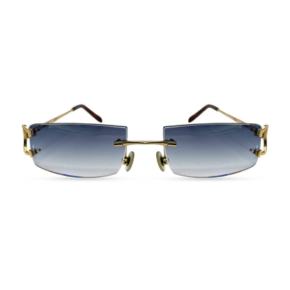 CT0092O Piccadilly Big C Decor - Wires Eyeglasses/Sunglasses w/ Rectangle Lenses (2024) - Luxury Optical