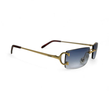 CT0092O Piccadilly Big C Decor - Wires Eyeglasses/Sunglasses w/ Rectangle Lenses (2024) - Luxury Optical