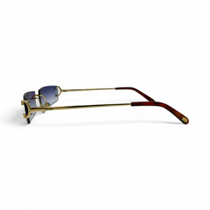 CT0092O Piccadilly Big C Decor - Wires Eyeglasses/Sunglasses w/ Rectangle Lenses (2024) - Luxury Optical
