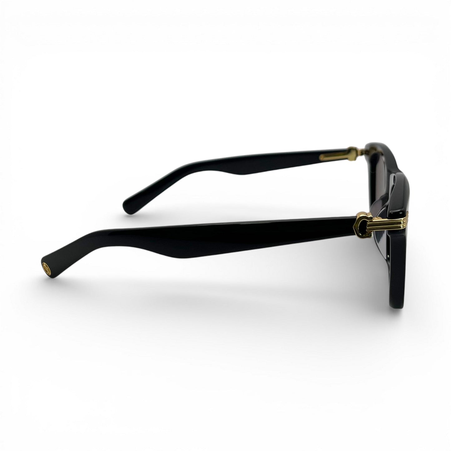 CT0396S Premiere Sunglasses | 53-20 Square Composites (2023) - Luxury Optical