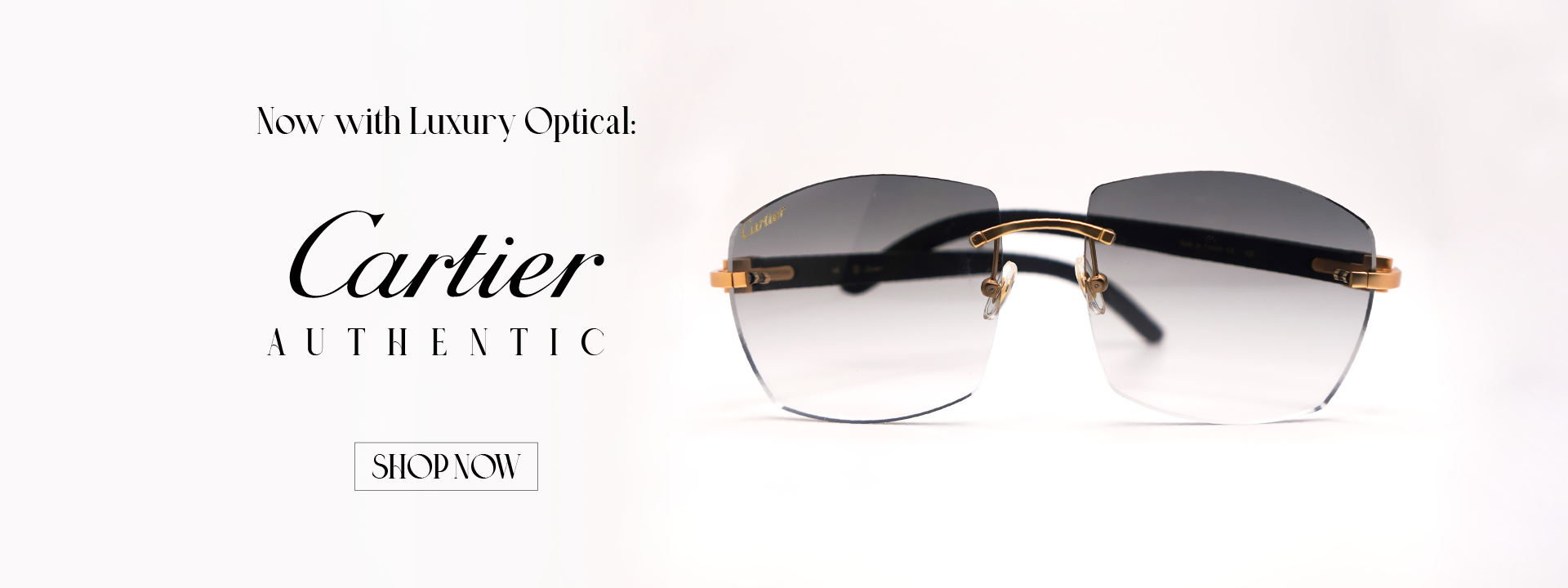 CityStyles313 - Authentic Luxury Eyewear CityStyles313 - Authentic Luxury Eyewear